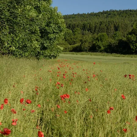 Apartamento 63qm Im Eschachtal Niedereschach