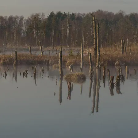 Apartamento 63qm Im Eschachtal Niedereschach