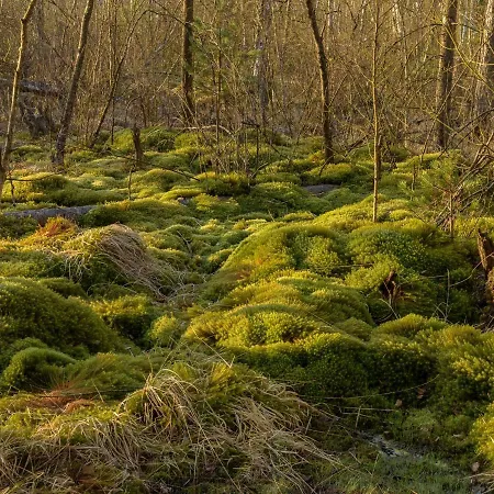 63qm Im Eschachtal Niedereschach