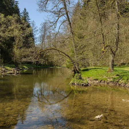 63qm Im Eschachtal * Niedereschach